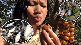 This Woman Risked Her Life Eating Poisonous Spiders Just To Survive 100 Days In The Wild.