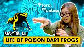 How poison dart frogs become poisonous | Biogirl MJ