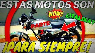 MOTOS QUE DURAN PARA TODA LA VIDA (PARTE 2) - luisarmi