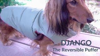 DJANGO - The Reversible Puffer Dog Coat - Sage Green