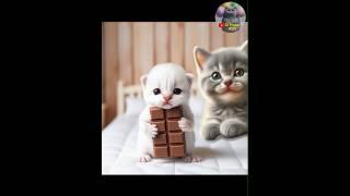 Alif sakit dijenguk teman-teman kakaknya #kucingpalestina #raficatlover