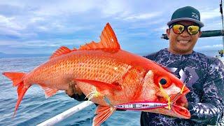 JIGGING DAN POPPING AKHIRNYA STRIKE BABON RUBY SNAPPER‼️