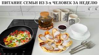 Рацион питания семьи / Закупка продуктов на 3500 / Заготовки с мясорубкой Wollmer M909 Monolith