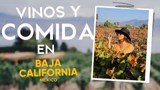 COME y CHUPA como los grandes en BAJA CALIFORNIA | ENSENADA