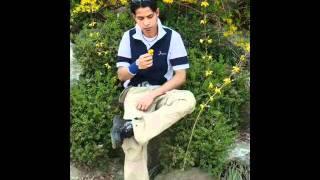 trincomalee  mohamed ramees (vellaimanal)