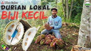 Durian Lokal Biji Kecil | Rasa Manis Pahit 