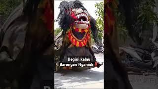 Begini kalau Barongan Ngamuk ‼️ #shorts #barongan #barong #jaranan #jathilan #bantengan