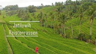 Bali Tipps - Secrets | Jatiluwih Reisterrassen