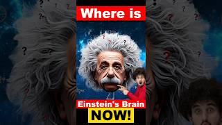Where is Einstein’s Brain Now?!"