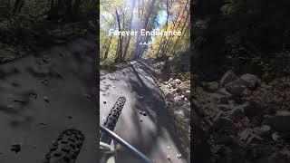 Steep Grade Catwalk #bikelife #mountainbike #kona #aspirepark #catwalk #wheeliebattle #skills