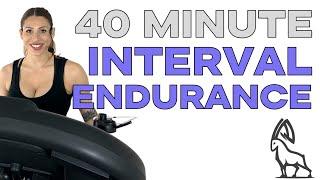 45 Minute Interval Endurance! | Treadmill Follow Along!