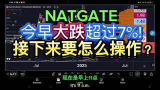 NATGATE NATIONGATE 今早大跌超过7%! 接下来要怎么操作？可以进场吗？[ENG SUB]