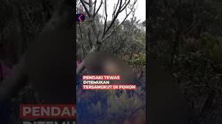 Pendaki Ditemukan Tewas di Gunung Lawu dan Tersangkut di Pohon #shorts