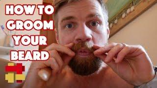 How to groom your beard   A random vlog from Stephen