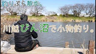 【小物釣り】びん沼初挑戦！埼玉 川越 びん沼で小物釣り。  【淡水】