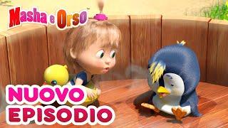 Masha e Orso  Nuovo episodio!  Collezione di episodi  Cartoni animati per bambini