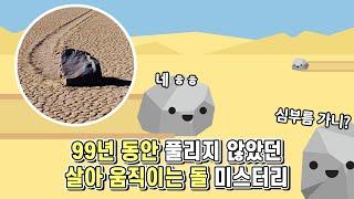 99년 동안 풀리지 않았던 미스터리 살아 움직이는 돌의 비밀