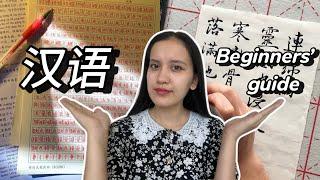 How to learn Chinese faster and easier | my own experience