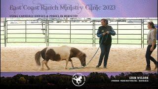 Using Carriage Horses and Ponies in Ministry with Erin Wilson