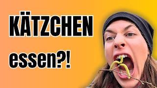 Kätzchen essen?! Das geheime Superfood aus der Natur! 