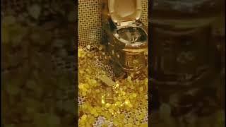 #short  Full Gold Bathroom