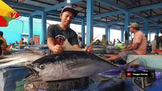 Amazing skill cutting 23 Kg Yellowfin Tuna at Sorong Fish Market