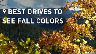 The best drives to see fall colors in Colorado