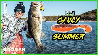 The PERFECT FRESH and SALTWATER Swim bait! ( Fishing Tips )