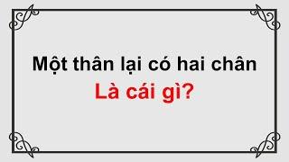 Câu đố dân gian Việt Nam có đáp án - Phần 10