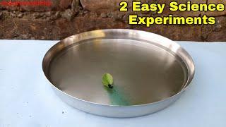 2 Easy Science Experiments To Do At Home | Science Experiments