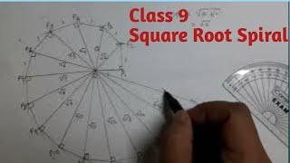 Class 9 - Square Root Spiral/Spiral of Theodorus/ Pythagorean spiral/Number Systems#ncert#maths