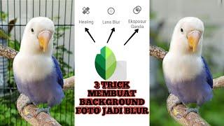 Cara Membuat Background Foto Blur | Snapseed Tutorial Bokeh