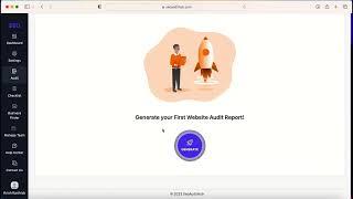 SEOAuditHub Website Auditor full Overview