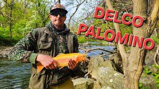 Delco Trout Fishing (The Palomino Trout)