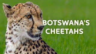 2+ Hours Exploring Botswana's Untouched Kingdom | Wildlife Documentary