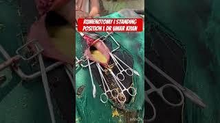 Rumenotomy l dr Umar Khan