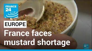 France faces mustard shortage as climate change, Ukraine war cut into seed supply • FRANCE 24