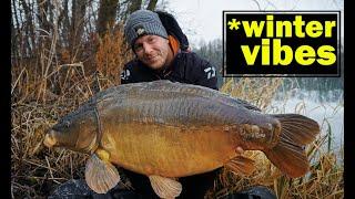 Winterangeln im Januar auf Karpfen mit Mathis Korn am Baggersee I DAIWA I DYNAMITE BAITS