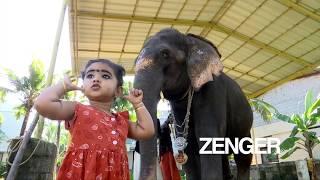 Little girl and elephant develop unlikely friendship