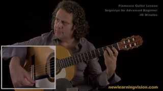 Demo of Flamenco Guitar Lesson, Seguiriya for Advanced Beginner by Adam del Monte