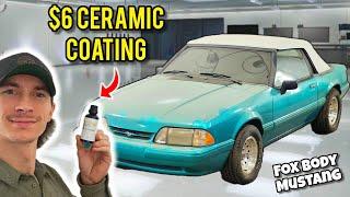 Using $200 Worth of TEMU Detailing Tools to Detail Dirty Mustang | ASMR DETAILING