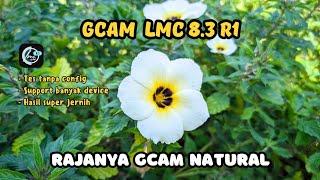 GCAM PALING NATURAL | LMC 8.3 R.1