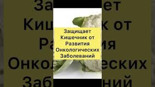 Какие Продукты ПОЛЕЗНЫ Для КИШЕЧНИКА?