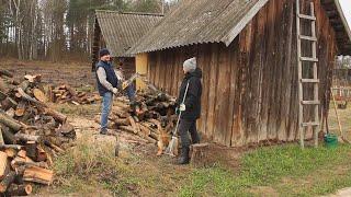 Hard Country Life in a Village Forest House: Harvesting Firewood. Simple Country Food!