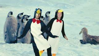 Doug Stanhope & Brian Hennigan - Penguin appreciation