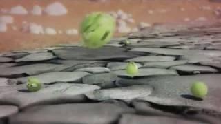 The Parable Of The Sower - Animation