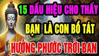 Đức Phật Chỉ Ra 15 Dấu Hiệu Bạn Đã Tích Lũy Phúc Đức Từ Kiếp Trước, Kiếp Này Được Thần Phật Che Chở