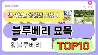 요즘 인기 많은 블루베리 묘목 추천 TOP10 (가격,평점,비교)