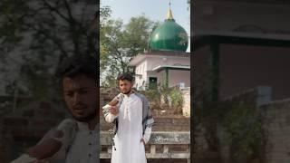 Subhanallah ️️ #animals #pets #pigeons #kabutar #kabootar #islam #islamic #islamicstatus