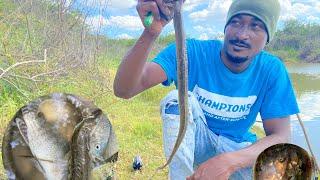 Catch Ñ cook EEL Ñ tilapia curry up Ñ we discovered a new pond part 2